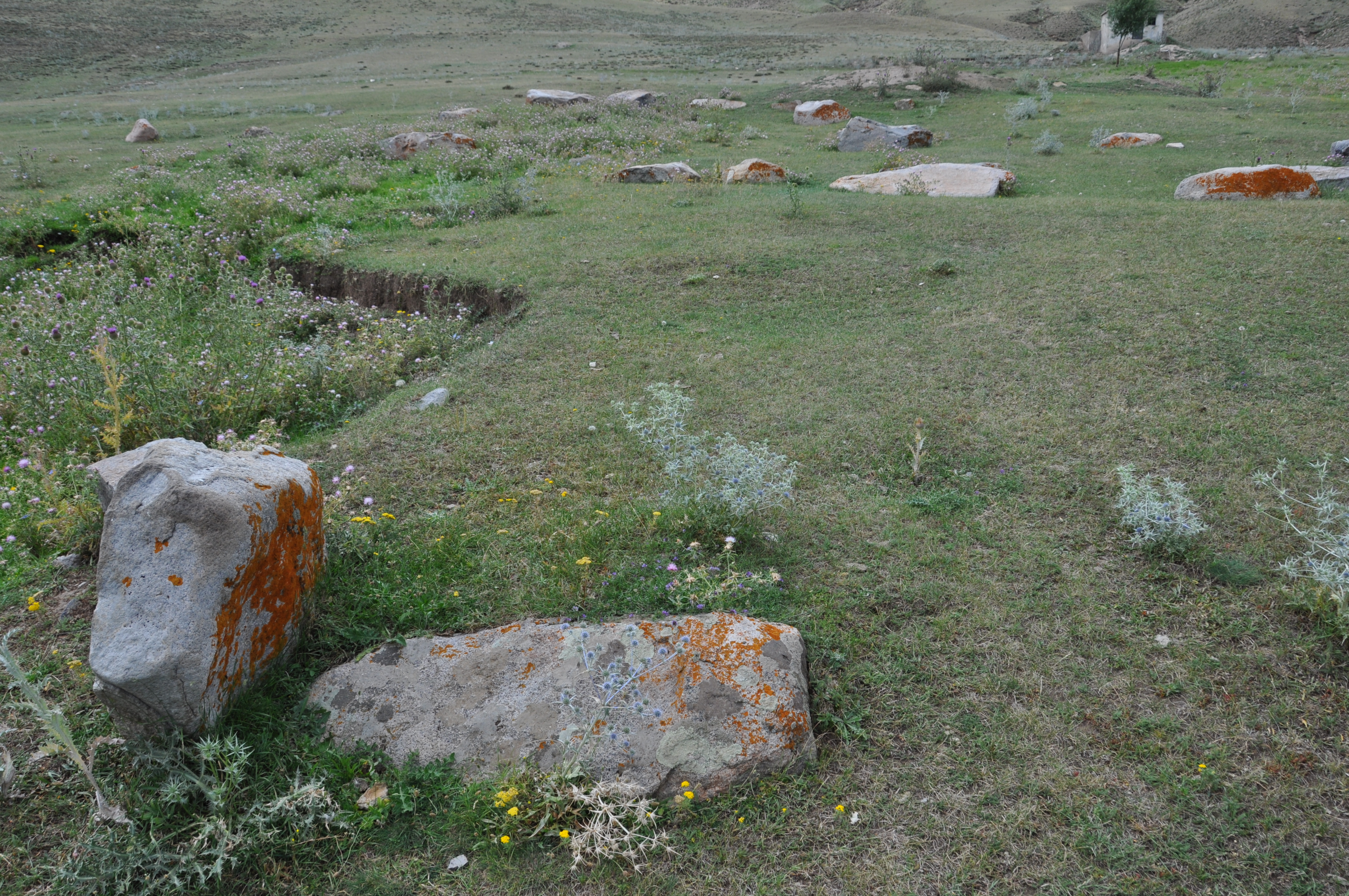 Bagavan Yerleşmesi