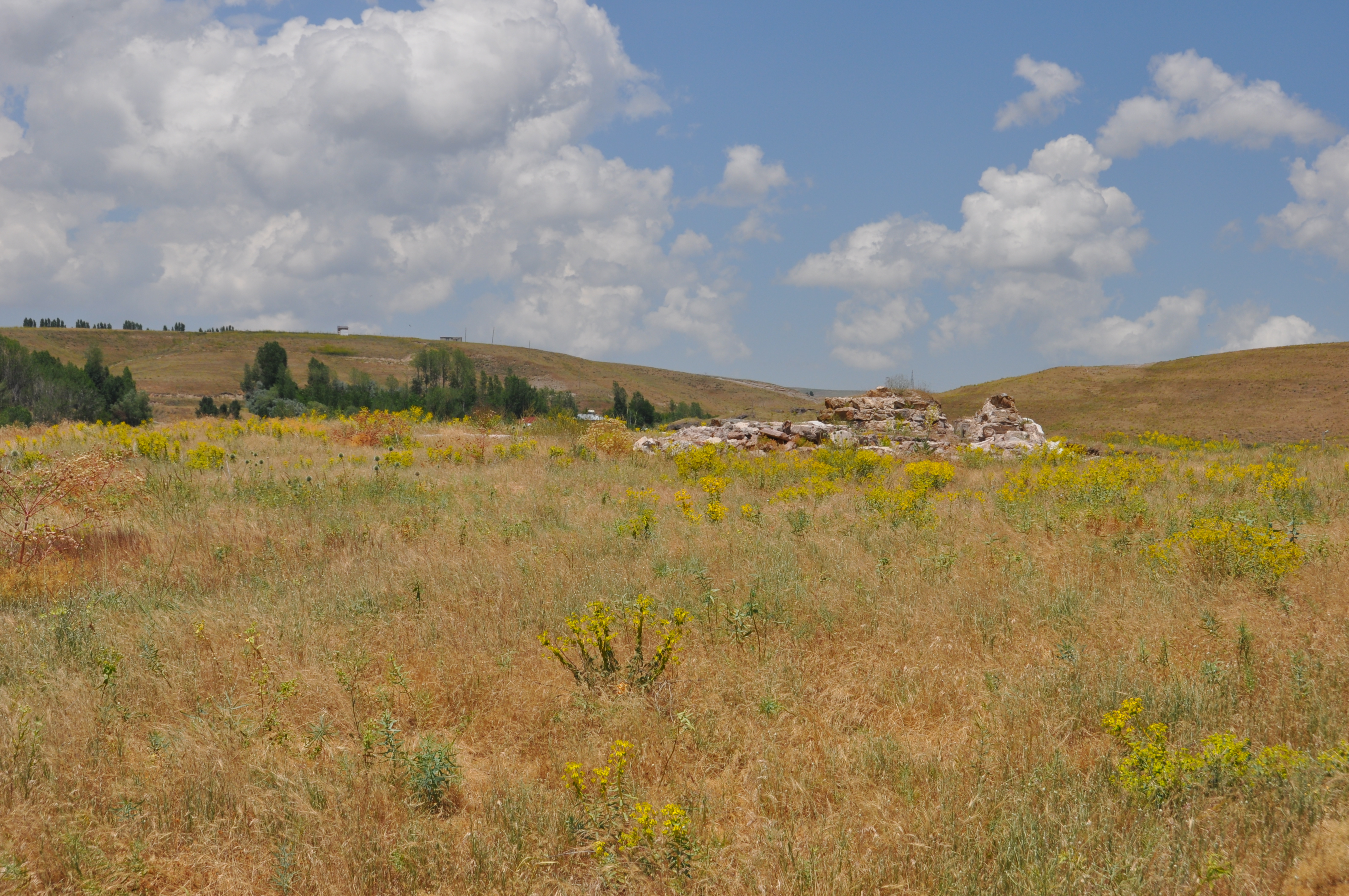 Eski Ahlat Kalesi